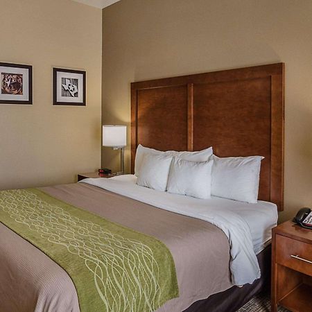 Comfort Inn Midland South I-20 Luaran gambar